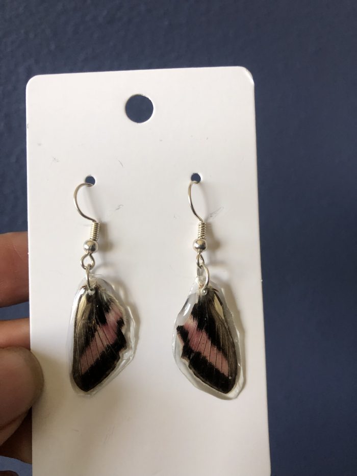 Humming bird moth wing earings - Image 2