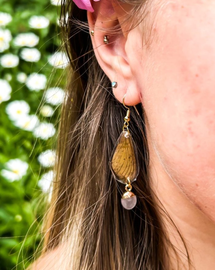Butter fly wing earring with rose quarts