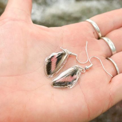 Humming bird moth wing earings