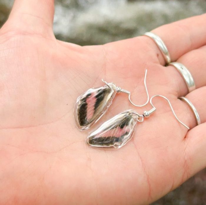 Humming bird moth wing earings