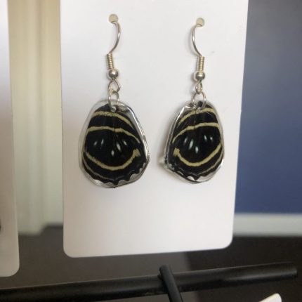 Butterfly wing earings