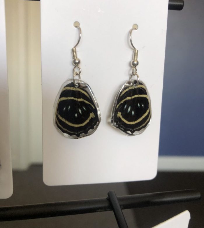 Butterfly wing earings