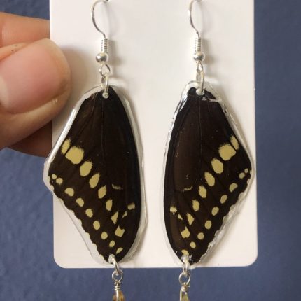 Exotic butterfly wing earrings with citrine dangle